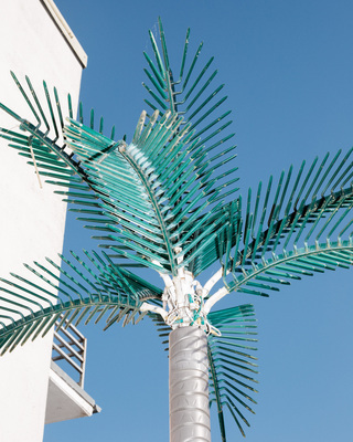 Wir haben Palmen gesehen, die tagsüber in den azurblauen Himmel ragen und nachts silbrig vor dem Mond leuchten. Die Palmen sind in akkuraten Linien am Strand aufgereiht. Die Blätter werfen symmetrische Muster auf den weißen Sand, in die wir unsere Zehen vergraben. Das ist es wirklich, sagen wir, und: Wir sind endlich im Paradies angekommen!